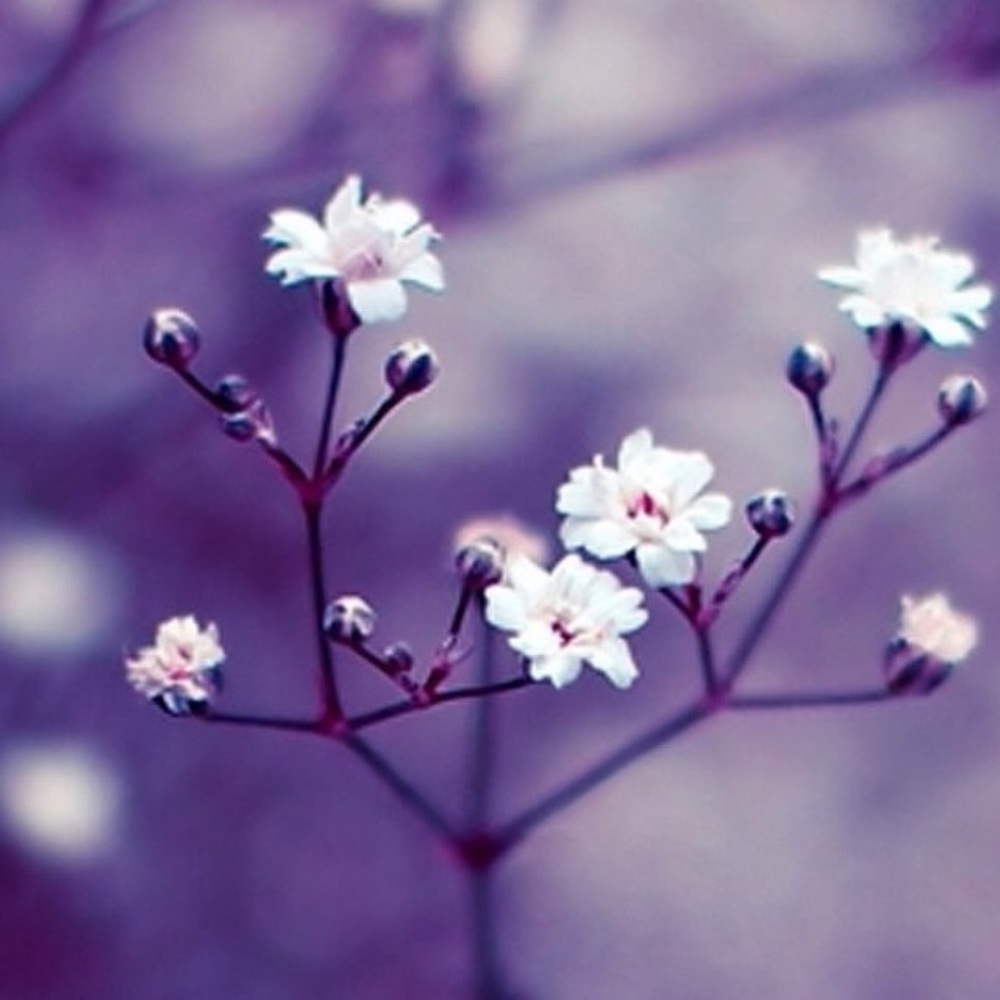 Meet your Posher, Sue